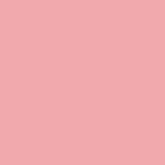 SP - 1322 | Pink Beach